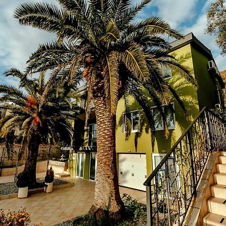 Olive Garden Apartment Petrovac Eksteriør bilde