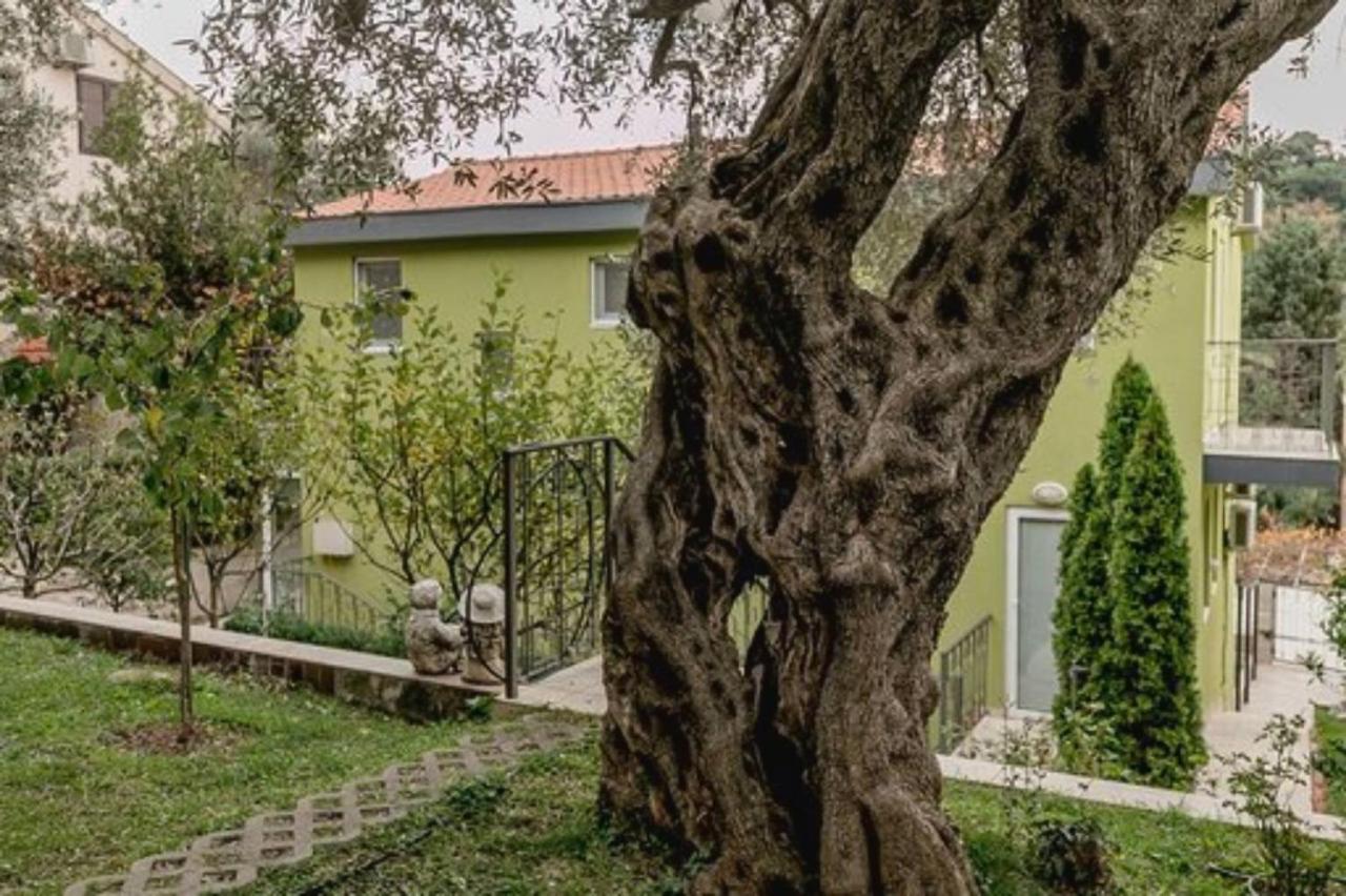 Olive Garden Apartment Petrovac Eksteriør bilde
